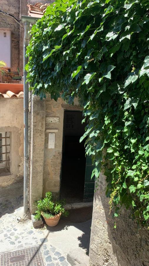 La Casa Sul Lago Anguillara Sabazia Kültér fotó