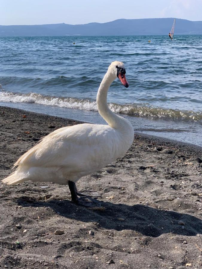 La Casa Sul Lago Anguillara Sabazia Kültér fotó